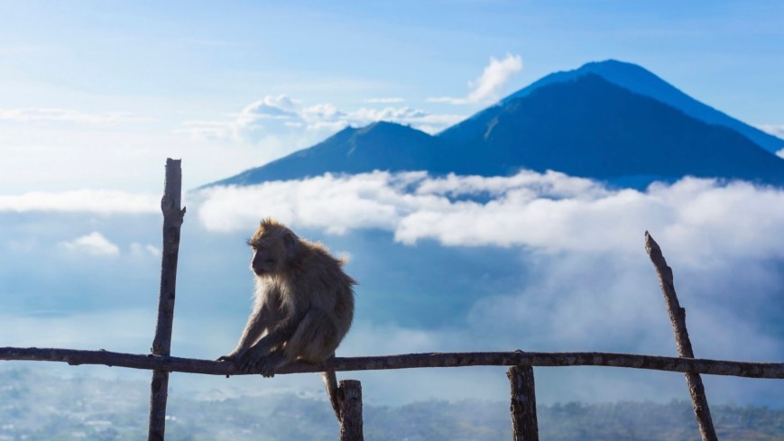 Mount Batur Sunrise Trekking