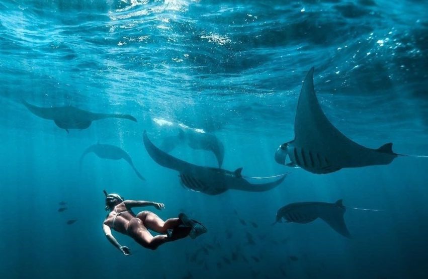 Nusa Penida Snorkeling Tour
