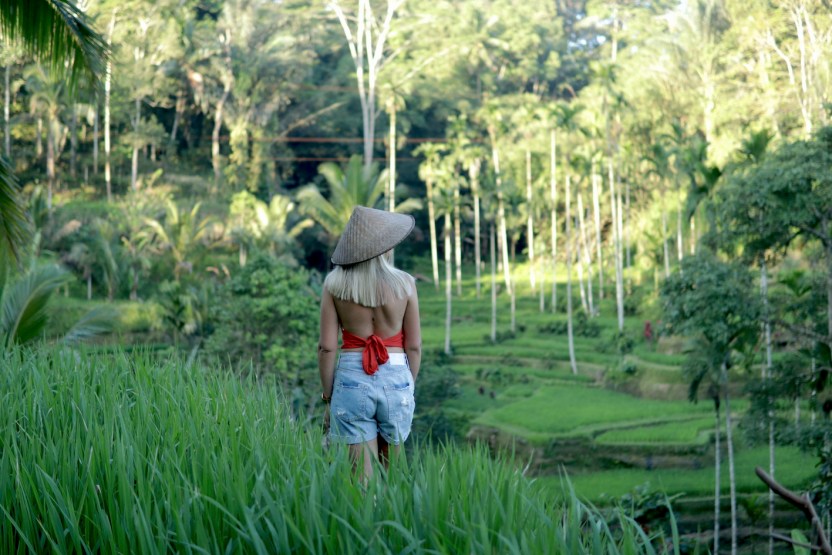 Private Full Day Best of Ubud Tour