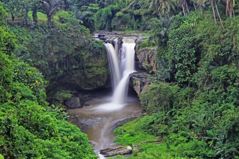 Private Full Day Best of Ubud Tour